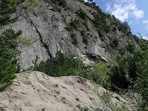 Felswände und Schutthalden sind im Wienerwald selten