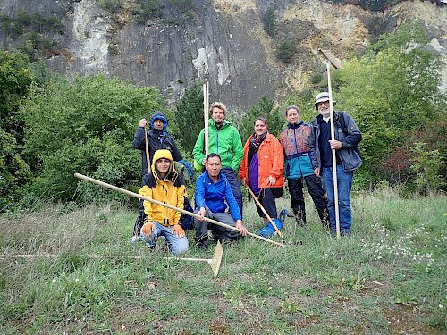 Die Freiwilligen bei der Trockenrasen-Pflege in Bad Vöslau.