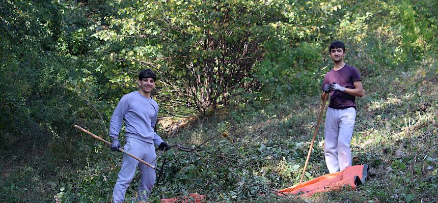 Freiwillige bei Trockenrasenpflege