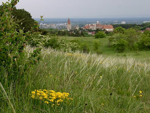 Blick über die Perchtoldsdorfer Heide.