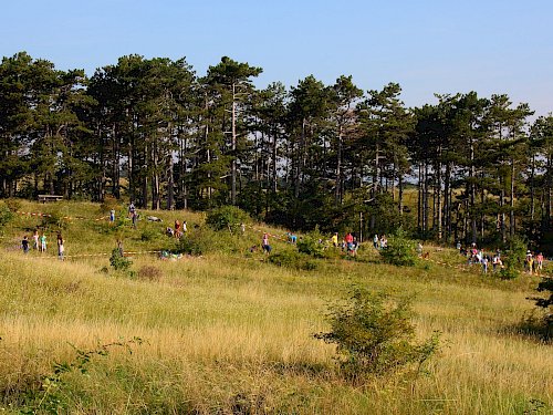 Schülerinnen pflegen die Perchtolsdorfer Heide.