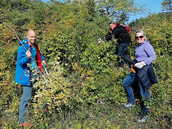 Freiwillige bei der Trockenrasenpflege in Pfaffstätten.