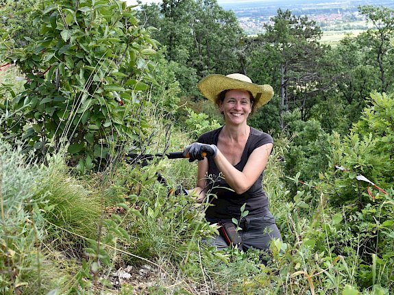 Trockenrasenpflege am Steilhang