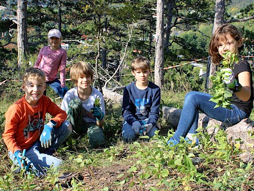 Kinder mit Spaß bei der Landschaftspflege