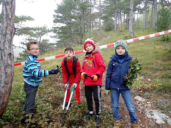 Schüler*innen bei der Pflege im Kurpark Baden