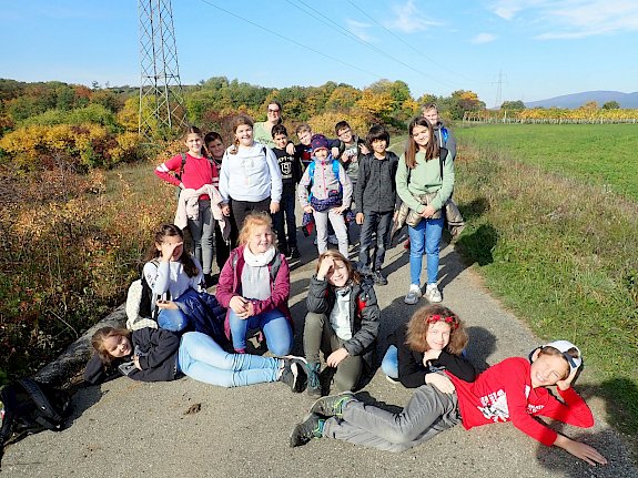 Schüler*innen der VS Leobersdorf bei der Trockenrasenpflege