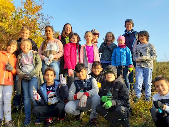 Schüler*innen der VS Leobersdorf bei der Trockenrasenpflege
