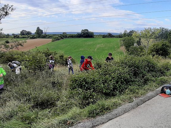 Schüler*innen der VS Leobersdorf bei der Trockenrasenpflege
