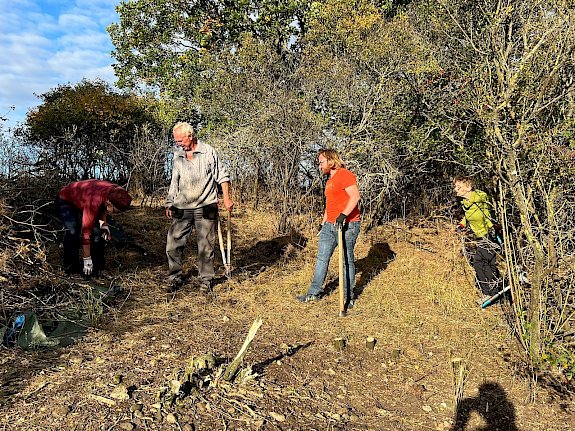 Freiwillige bei der Trockenrasenpflege in Leobersdorf