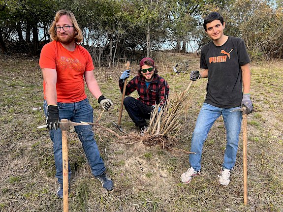 Freiwillige bei der Trockenrasenpflege in Leobersdorf