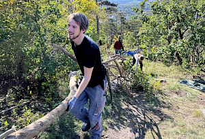 Freiwilliger beim Tragen eines Baumes
