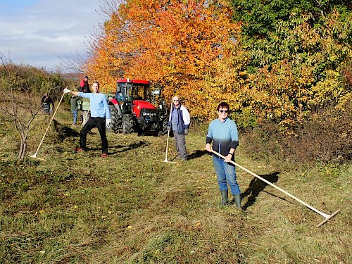 Freiwillige bei der Pflege des Naturdenkmals