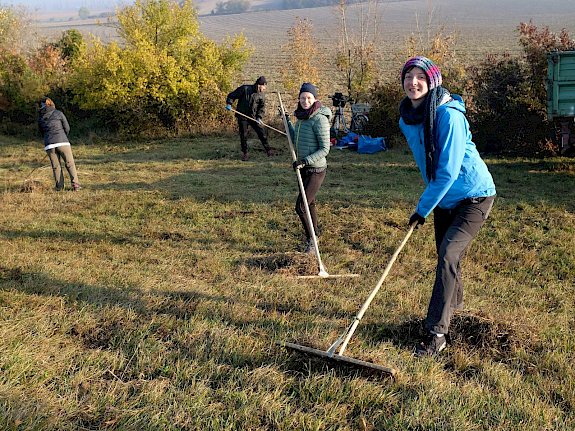 Freiwillige beim Zusammenrechen des Mähguts