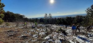 Winterlandschaft