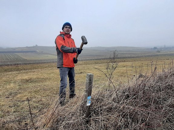 Frewiliiger Helfer bei der Landschaftspflege