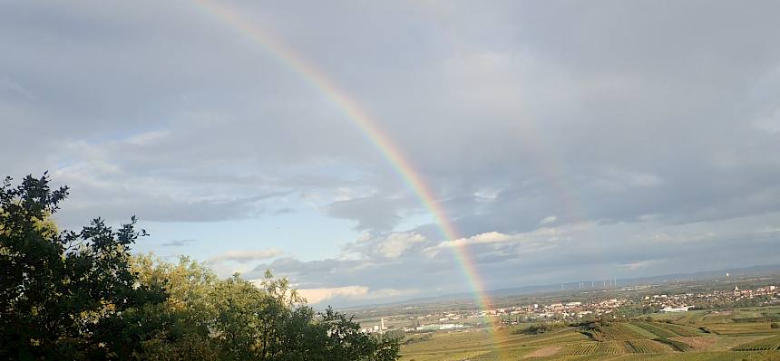 Zwei Regenbogen als Belohung für die Arbeit. © I.Drozdowski