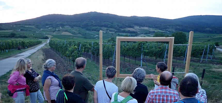 Ein Blick in die Weinbaulandschaft © LPV