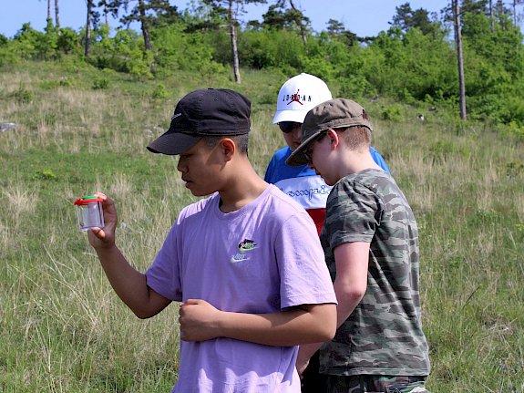 Schüler*innen bei der Insektensuche