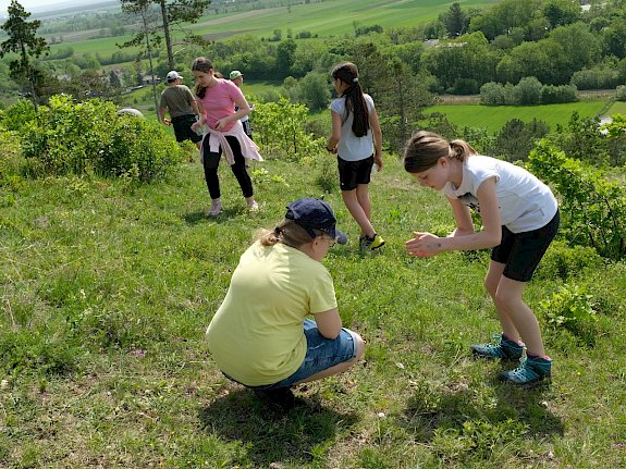 Schüler*innen bei der Suche nach Insekten