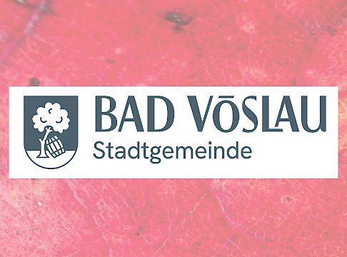 Logo Stadtgemeinde Bad Vöslau