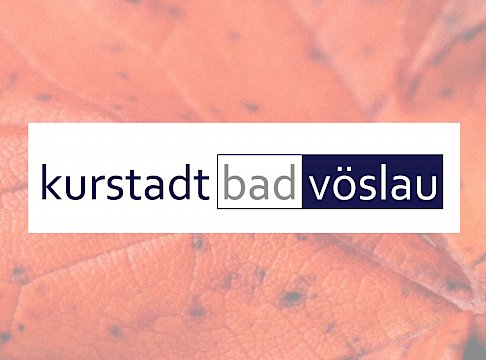 Logo Stadtgemeinde Bad Vöslau