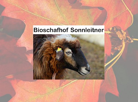 Logo Bioschafhof Sonnleitner - Familie Frank