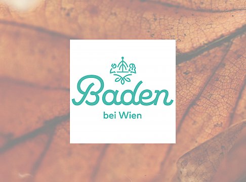 Logo Stadtgemeinde Baden
