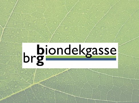 Logo BG/BRG Baden Biondekgasse