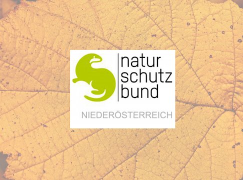 Logo Naturschutzbund Niederösterreich