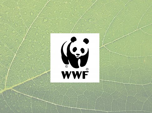 Logo WWF Österreich