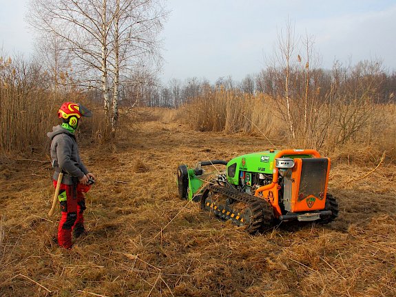 Ferngesteuerte Mulchraupe im Einsatz.