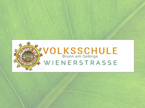 Logo Volksschule Wienerstrasse