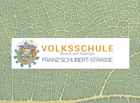 Logo Volksschule Franz Schubert-Strasse