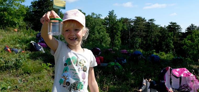 Mit den Becherlupen erforschten die Kinder die Insektenwelt des Naturschutzgebiets Glaslauterriegel-Heferlberg-Fluxberg in Pfaffstätten. © LPV/Fischer