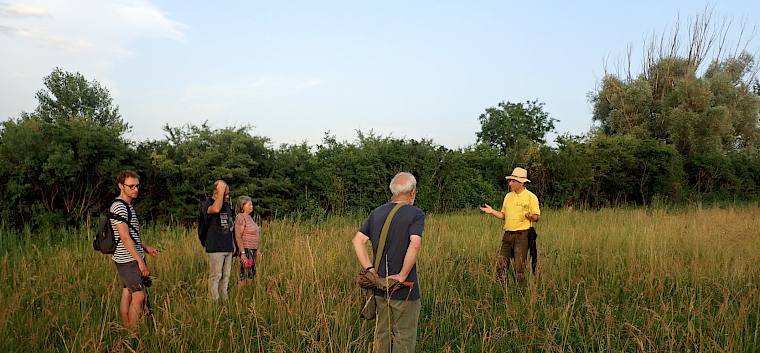 Gemeinsam mit den Biolog*innen des Landschaftspflegevereins begaben sich die Teilnehmer*innen auf eine spannende Entdeckungsreise in die Welt der Feuchtwiese. © LPV/Drozdowski