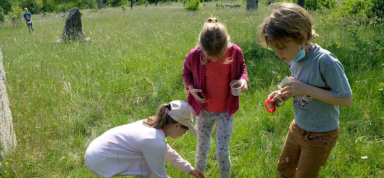 Mit den Becherlupen erforschten die Kinder die Insektenwelt auf den Trockenrasen beim Symposion Lindabrunn. © LPV/Fischer