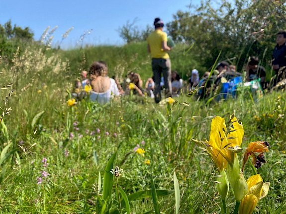 Blütenmeer beim Pflege-Einsatz bei den Alten Schanzen