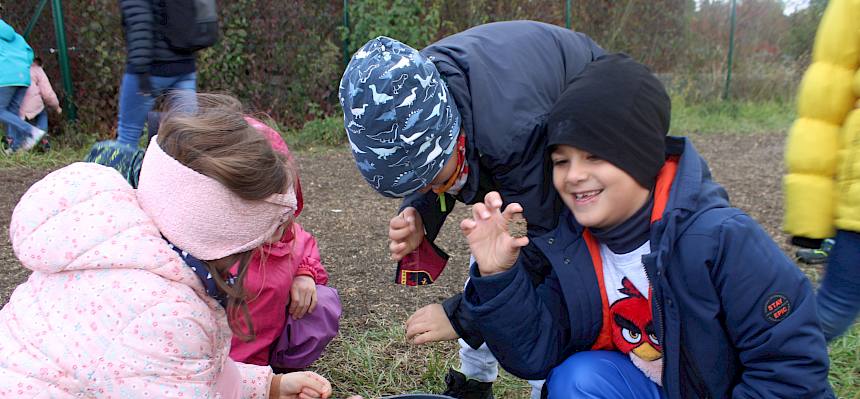 Die Kinder gingen im Park auf Samensuche. Gemeinsam wurden alle gesammelten Samen besprochen und auch überlegt, wie sich diese verbreiten. © LPV/Hohn
