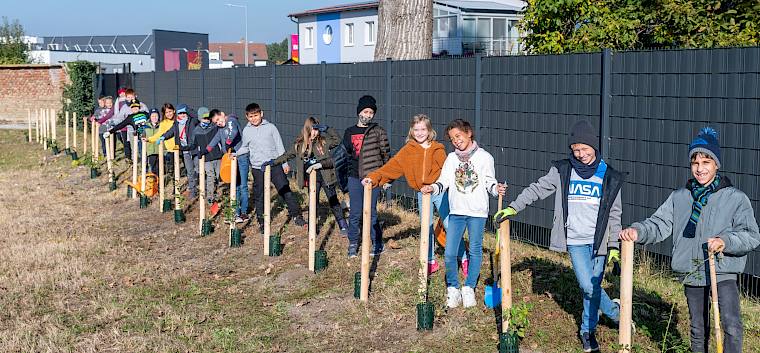 Die Schüler*innen der 3d der VS Himberg durften heute selbste eine Blüh- und Klimahecke pflanzen. © BILLA/Robert Harson