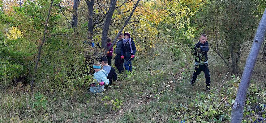Unter fachlicher Anleitung von Naturpädagogin Dana entfernten die Kinder zahlreiche Büsche von der Fläche. © LPV/Lambropoulos