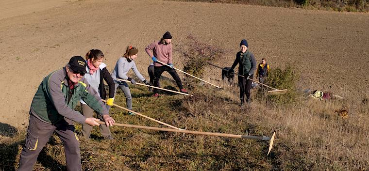 15 Freiwillige waren für das Naturdenkmal Trockenrasenklippe in Matzendorf-Hölles im Einsatz. © LPV/Fischer