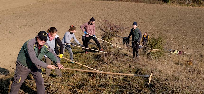 15 Freiwillige waren für das Naturdenkmal Trockenrasenklippe in Matzendorf-Hölles im Einsatz. © LPV/Fischer