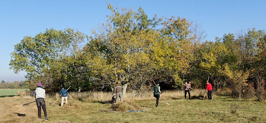 Die Freiwilligen genießen beim Rechen die wunderbare Herbst-Sonne. © LPV/Drozdowski