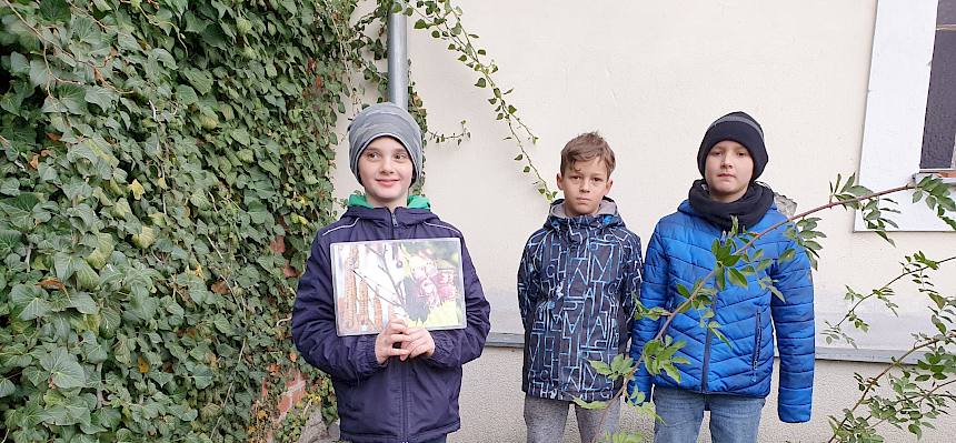 Das Team Hasel mit dem fertig gepflanzten Strauch. © LPV/Reimoser-Berger