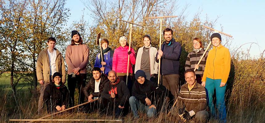 Die Freiwilligen bei der Pflege des Halbtrockenrasens in Ebreichsdorf. © LPV/Drozdowski
