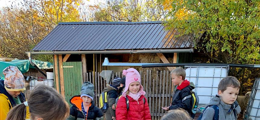 Die Kinder durften die Tiere füttern und streicheln und auch einen kleinen Hahn aus nächster Nähe betrachten und berühren. © LPV/Weisz-Emesz