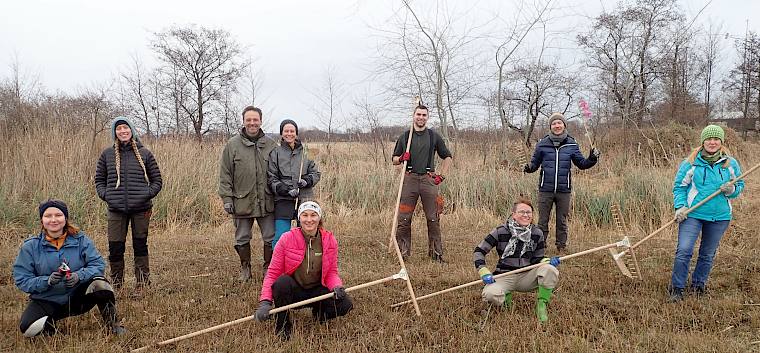 Die Freiwilligen im Einsatz für das seltene Moor-Wiesenvögelchen. © LPV/S. Girsch