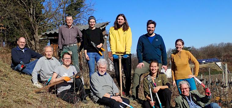 Die Freiwilligen Helfer*innen im Einsatz für die Erhaltung des Goldbiegels in Perchtoldsdorf. © FdPH/I. Drozdowski