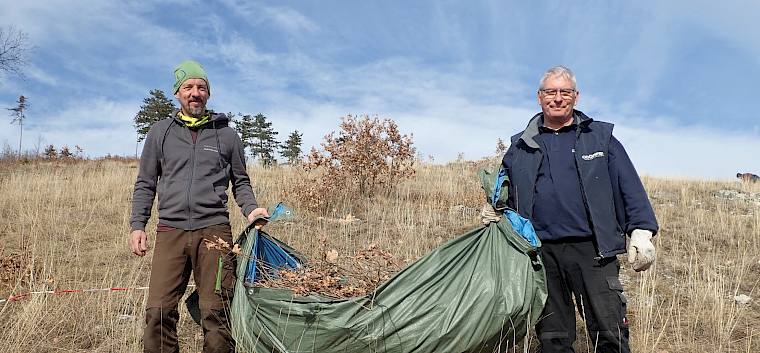 Voller Einsatz für die Erhaltung des Blosenbergs. Das Pflanzenmaterial wurde auf Planen gesammelt und von der Fläche getragen. © LPV/S. Girsch
