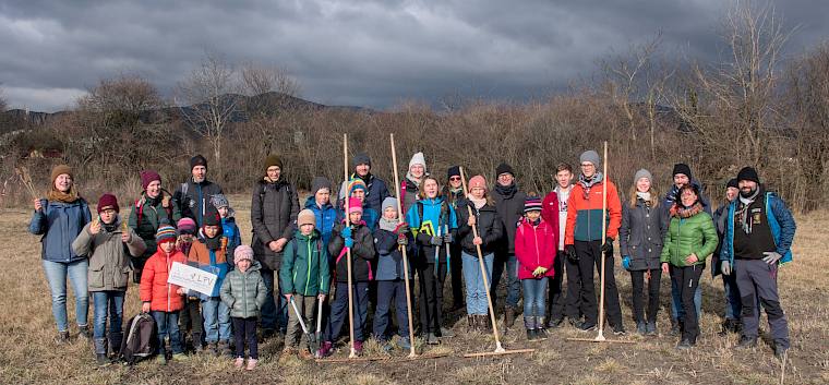 Die Pfadfinder*innen aus Bad Vöslau und Gainfarn unterstützten die Wiederherstellung der wertvollen Schweizerwiese in Bad Vöslau. © LPV/A. Temel
